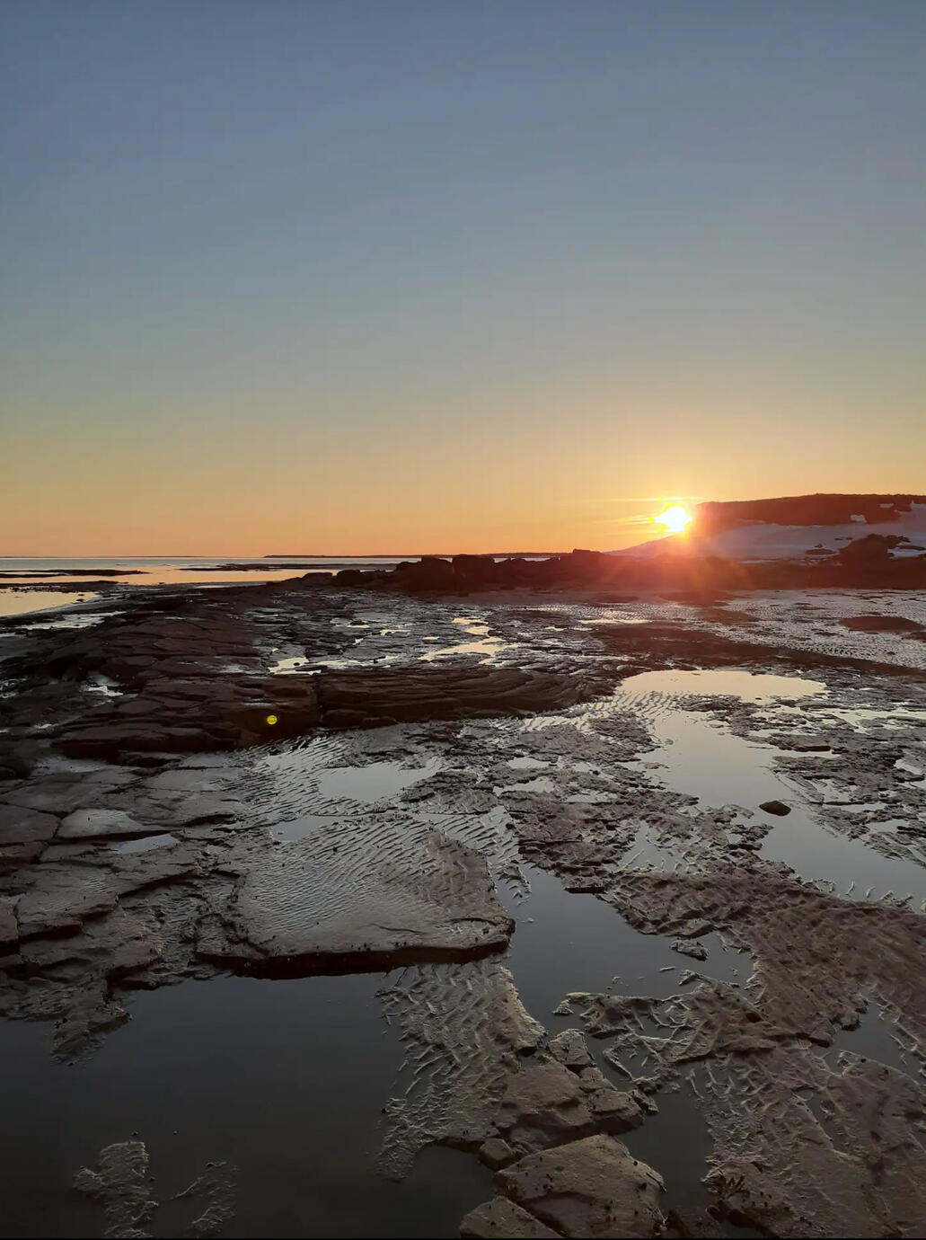 Another long evening walk.